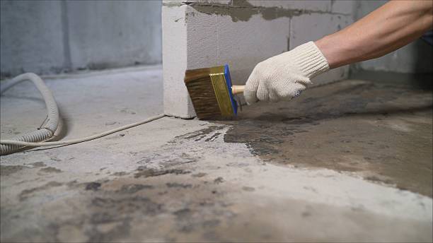 SJ Waterproofing Pros Crawl Space Encapsulation coverage map for Hampton, IL and surrounding area